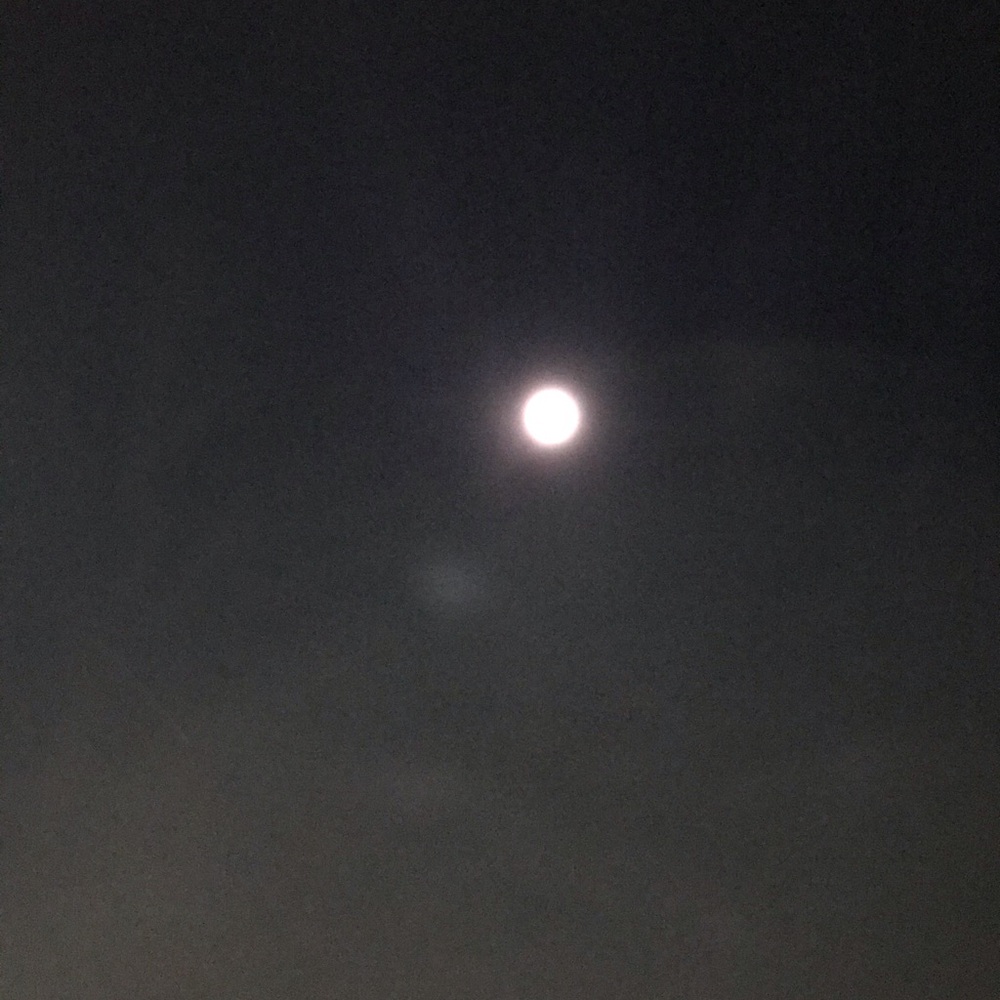 Meet your Posher, Carmen